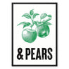Apples & Pears Framed Canvas