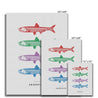 Anchovies - Canvas