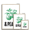 Apples & Pears - Fine Art Print