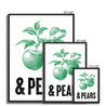 Apples & Pears Framed Canvas