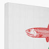 Anchovies - Canvas