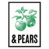 Apples & Pears Framed Canvas