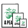 Apples & Pears - Fine Art Print