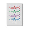 Anchovies - Canvas