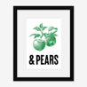 Apples & Pears - Fine Art Print