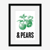 Apples & Pears - Fine Art Print