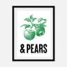 Apples & Pears - Fine Art Print