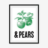 Apples & Pears - Fine Art Print