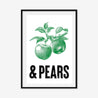 Apples & Pears - Fine Art Print