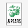 Apples & Pears - Fine Art Print