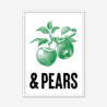 Apples & Pears - Fine Art Print