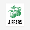 Apples & Pears - Fine Art Print