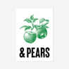 Apples & Pears - Fine Art Print